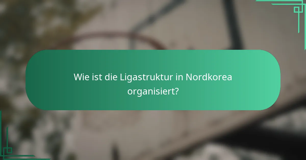 Wie ist die Ligastruktur in Nordkorea organisiert?